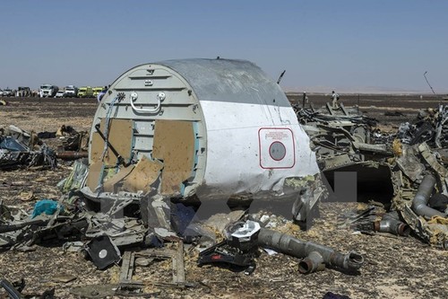 Президент Египта отверг заявление ИГ о нанесении удара по российскому самолету - ảnh 1